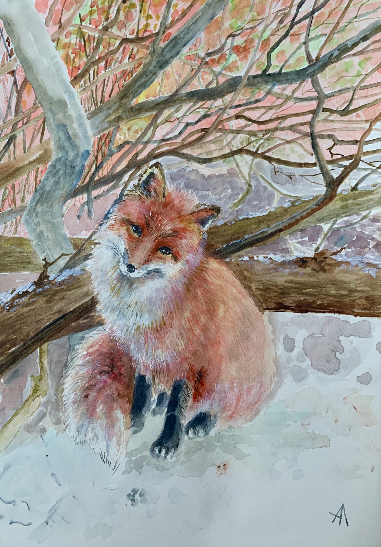 The first snow. 2025