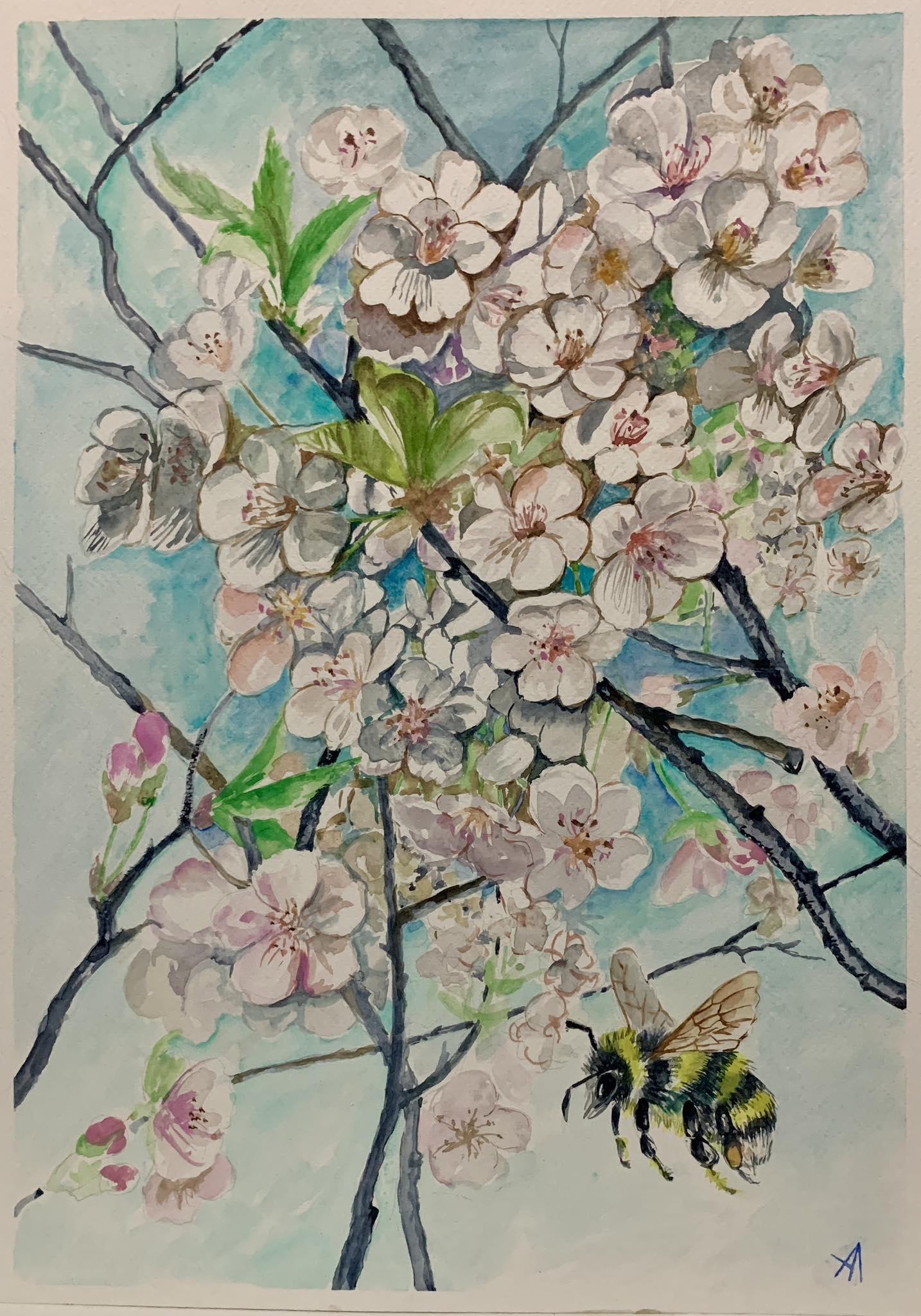 Spring/ Blossom time/2026