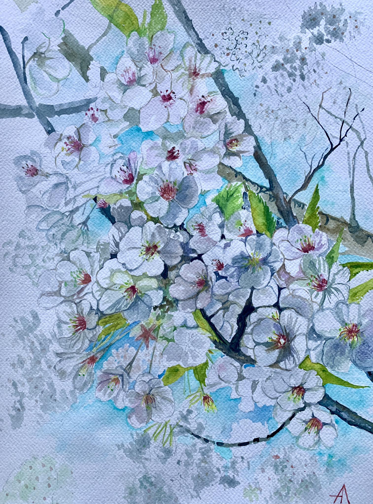 Spring/ Blossom time/2026