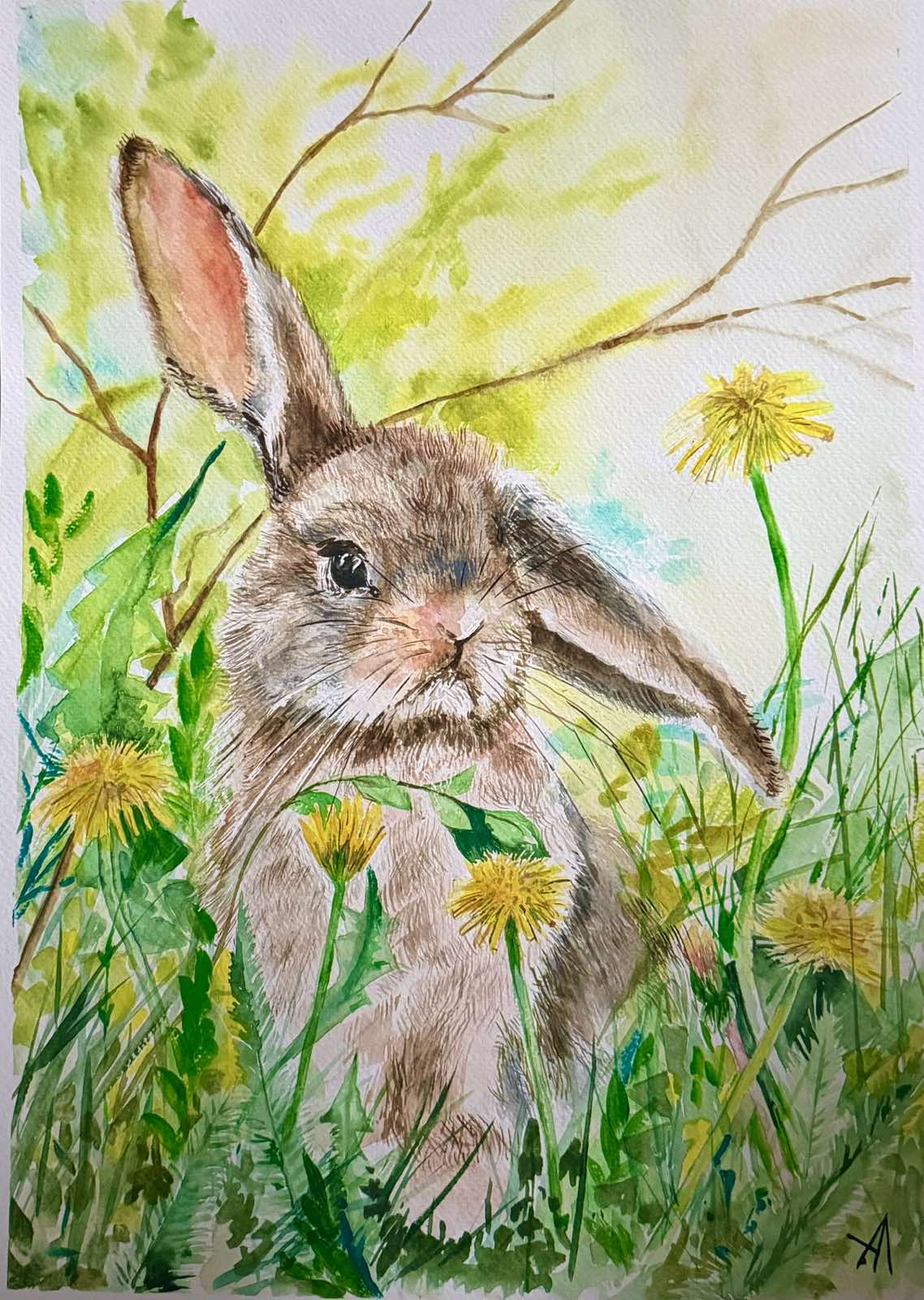Spring.2026